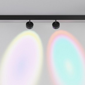 Светильник на штанге Maytoni Lens TR217-2-15W4K-B в Сысерти - sysert.ok-mebel.com | фото 6
