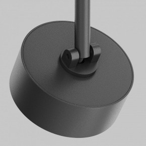 Светильник на штанге Maytoni Lens TR217-2-15W4K-B в Сысерти - sysert.ok-mebel.com | фото 9