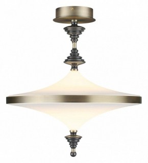 Светильник на штанге Odeon Light Ula 5404/43CL в Сысерти - sysert.ok-mebel.com | фото 2