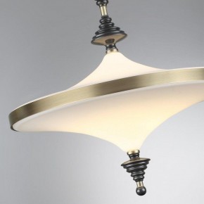 Светильник на штанге Odeon Light Ula 5404/43CL в Сысерти - sysert.ok-mebel.com | фото 6