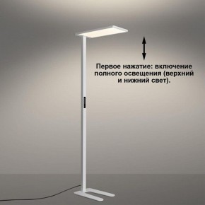 Торшер Novotech STUDI 359545 в Сысерти - sysert.ok-mebel.com | фото 5