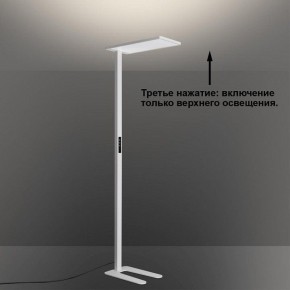 Торшер Novotech STUDI 359545 в Сысерти - sysert.ok-mebel.com | фото 6