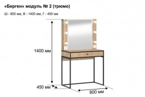 Трюмо "Берген 2" в Сысерти - sysert.ok-mebel.com | фото 5