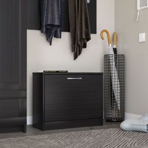 Тумба ОРИОН с одной полкой для обуви, цвет Дуб Венге в Сысерти - sysert.ok-mebel.com | фото 4