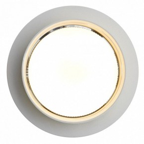 Встраиваемый светильник Feron DL502 51089 в Сысерти - sysert.ok-mebel.com | фото 5