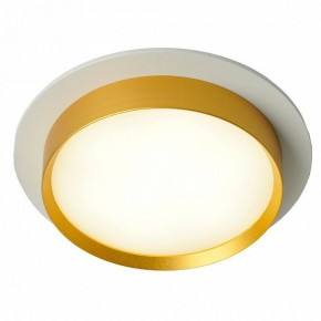 Встраиваемый светильник Feron DL507 51354 в Сысерти - sysert.ok-mebel.com | фото 3