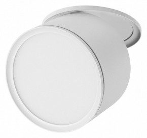 Встраиваемый светильник Lightstar Acuto 215856 в Сысерти - sysert.ok-mebel.com | фото