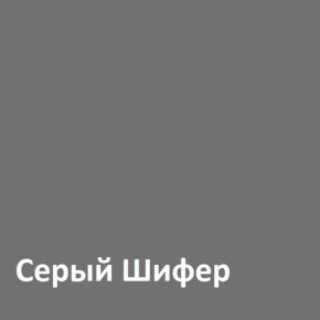 Юнона Шкаф торцевой 13.221 в Сысерти - sysert.ok-mebel.com | фото 2