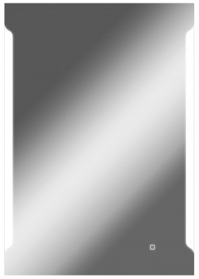 Зеркало Оттава 1000х700 с подсветкой Домино (GL7028Z) в Сысерти - sysert.ok-mebel.com | фото 1
